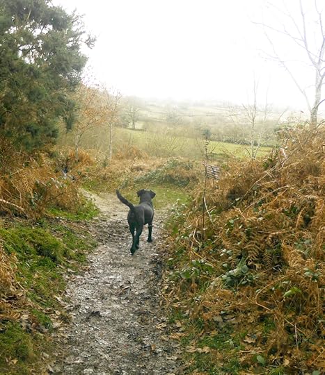 Upper path to the Chagford Commons