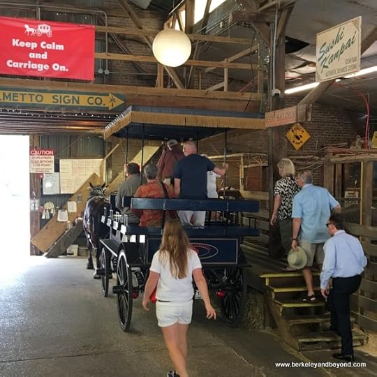 boarding the horse-drawn carriage inside barn at Palmetto Carriage Works in Charleston, South Carolina