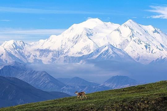 Climb Denali