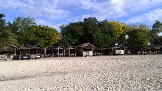 8 Moalboal, White Beach, Fun Things to do in the Philippines, Philippines Islands, Philippines Destinations, Philippines Travel Guide, Philippines Fun, Survive Travel