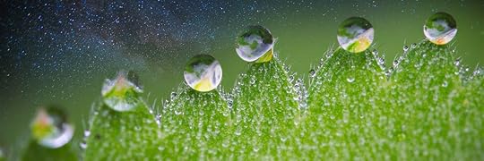 An Advanced Civilization Thrives by This Single Universal Value: Let’s Test It by Christine Horner