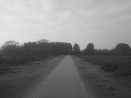 Google Photo