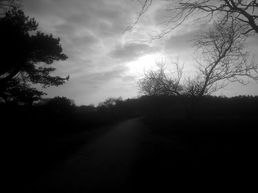 Google Photo