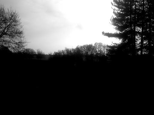 Google Photo