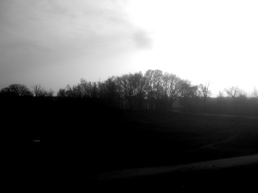 Google Photo