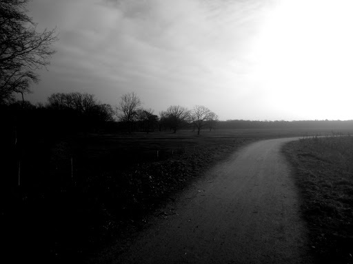 Google Photo