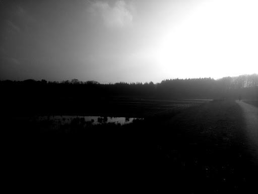 Google Photo