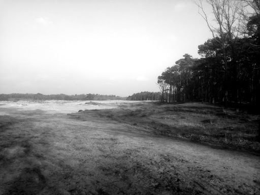 Google Photo