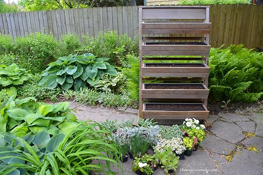 White and Silver Living Wall Garden Before Garden Build