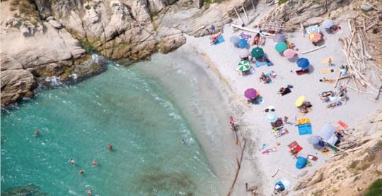 BEACHES 4-- bookspoils