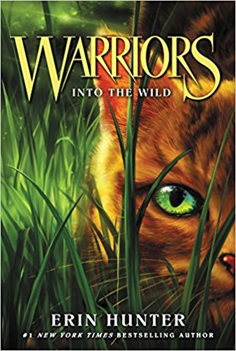 Image result for into the wild warriors