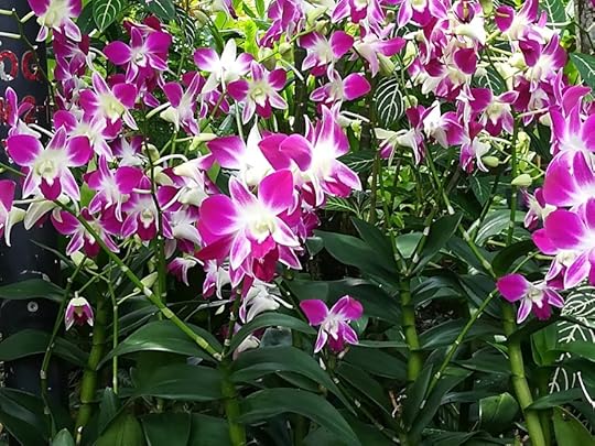 IMG_20180129_134845
