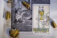 Your Weekly Tarotscopes with our psychic Sally 22nd Jan 2018