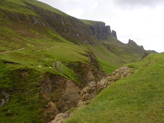Quiraing sheep