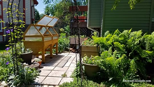 Elevated Veg Trug Wave Petunia Garden