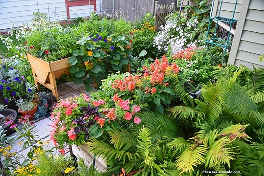 Elevated Garden Summer Veg Trug Wave Petunia