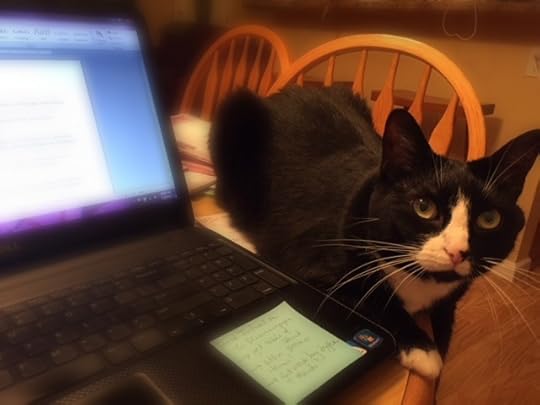 Winnie next to the laptop