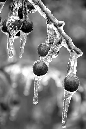 56e84ff14a7f4f3aebeff7011926b639