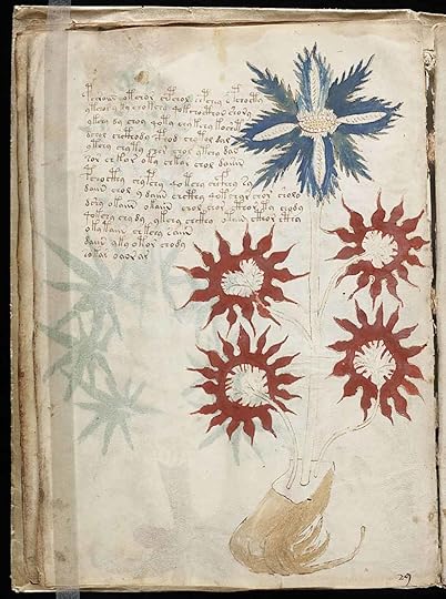voynich manuscript