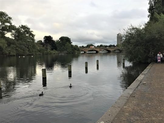 Ducks on the Serpentine, Kensington Gardens, London, September 2017 (Photo: Sarah Sundin)