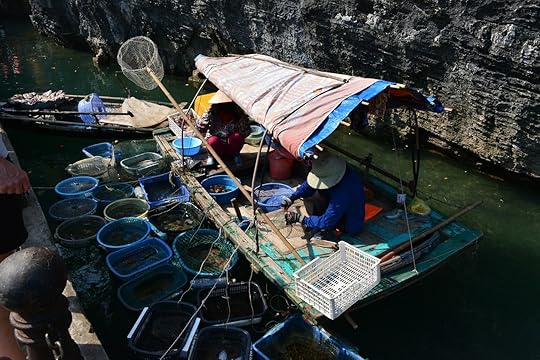 Boat in Ha Long Bay
