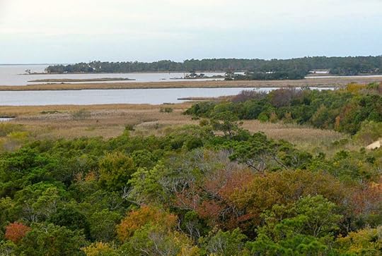 Nags Head Woods Outer Banks