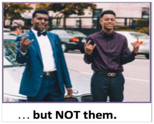 Screen Shot 2018-02-07 at 12.20.06 PM.png