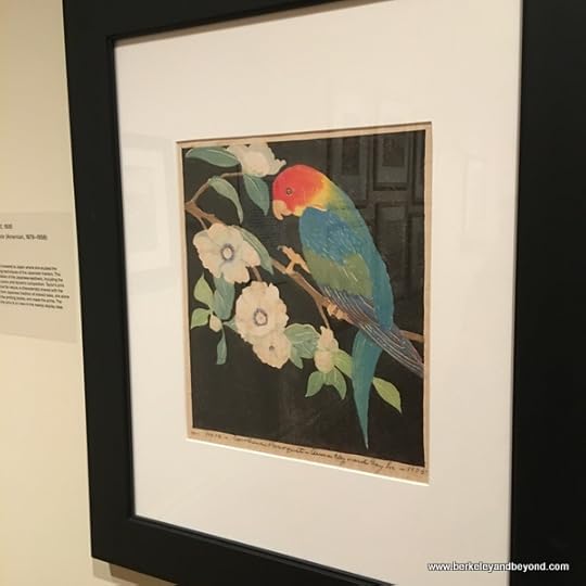 “Carolina Paroquet” at The Gibbes Museum of Art in Charleston, South Carolina