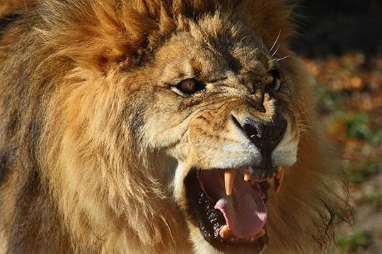 lionroar.jpg