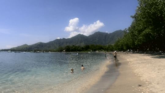 5 Pemuteran, Awesome Things to do in Indonesia, Survive Travel