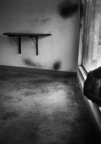 Britta Jaschinski Broken Animals