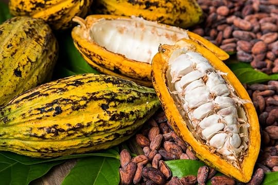 cocoa pod
