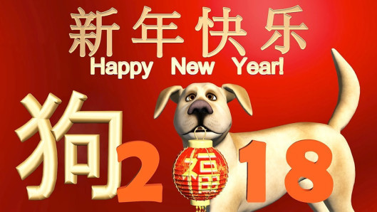 2018 year of the dog 2
