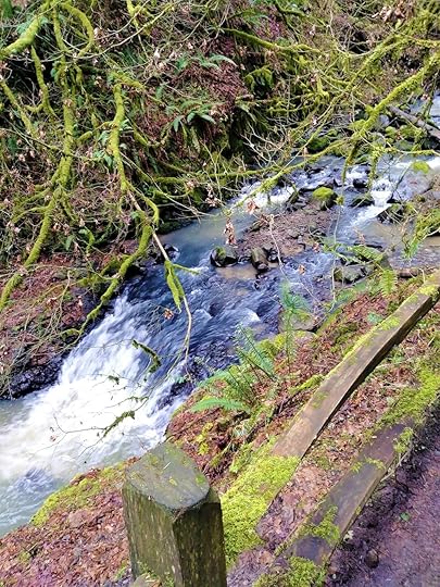 20180131_115316 (2).jpg