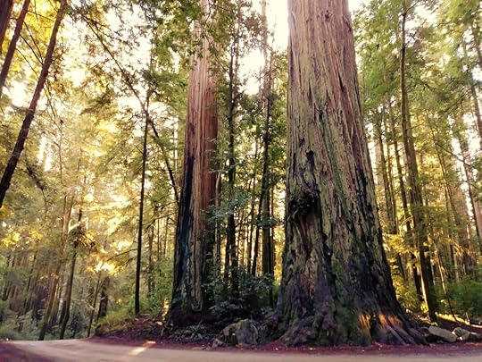 20180202_091613 (2).jpg