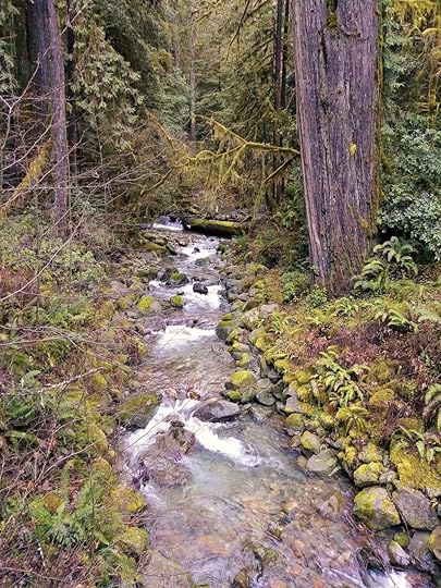 20180202_092029 (2).jpg