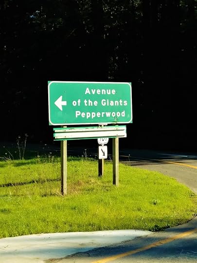 20180202_135957 (2).jpg