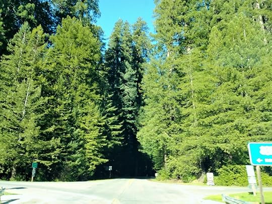 20180202_134403 (2).jpg