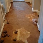 Mesmerizing Wood Floor Paper Roll 96 In Home Designing Inspiration with Wood Floor Paper Roll
