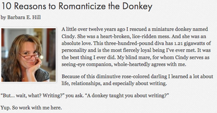 Screenshot-2018-2-12 10 Reasons to Romanticize the Donkey - SFWA