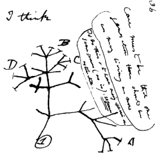 Darwin_tree