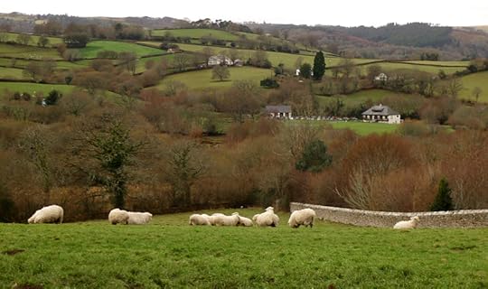 Small guardians of the field