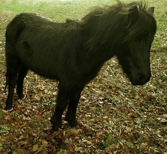 Small, study, and large of heart