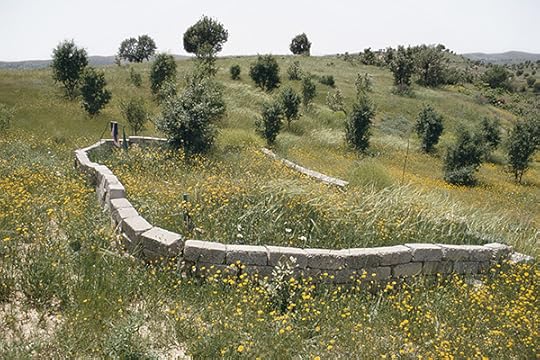1992_Meiselas_ConcreteBlocks