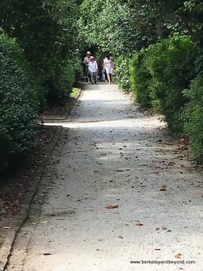 The Gardens at Middleton Place plantation in Charleston, South Carolina