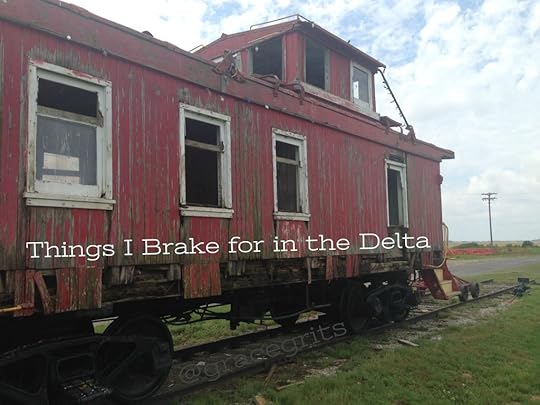 Things I Brake for in the Delta
