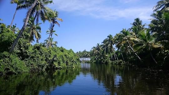 7 Kerala Backwaters, Things to do in India, Survive Travel
