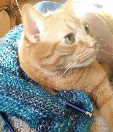 Now, her name is Kitten.