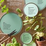 Amazing Best Mint Green Paint Color 18 On Home Decor Ideas with Best Mint Green Paint Color