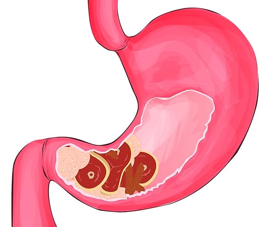 stomach clogged with meat